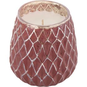 FROSTED CRANBERRY by Northern Lights MERCURY TEARDROP CANDLE 11 OZ