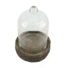 Medium Rustic Wood with Bell Shaped Cloche