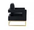 Edna Modern Black Velvet & Gold Accent Chair